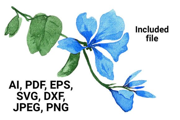 Download Watercolor Floral Elements Set - Color Collection
