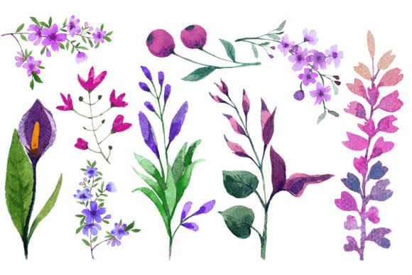 Download Watercolor Flower Elements Set - Premium Resources
