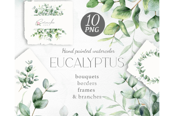 Download Eucalyptus Watercolor Clipart - Color Collection