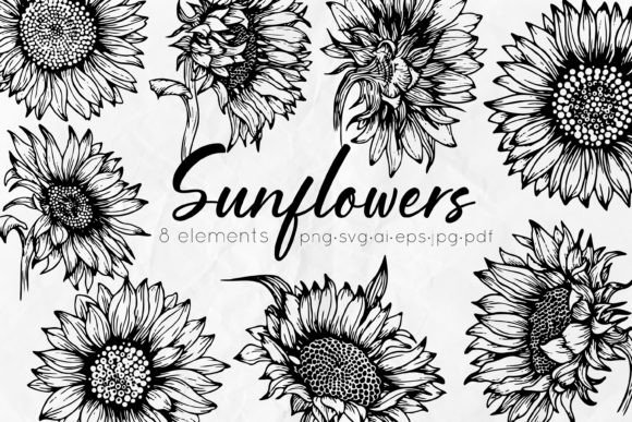 Download Sunflowers Line Art Illustrations - Illustration Collection