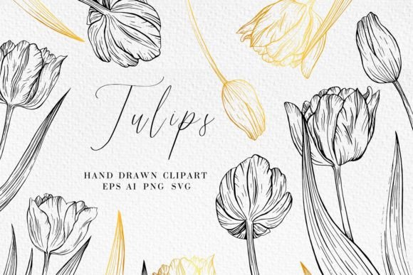 Download Tulip Line Art Illustrations - Illustration Collection