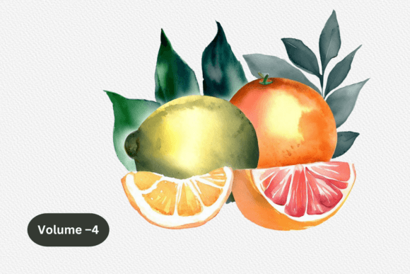 Download Watercolor Citrus Clipart,Fruits Clipart - Color Collection