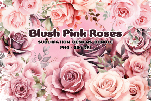 Download Blush Pink Roses Flowers Watercolor PNG - Color Collection