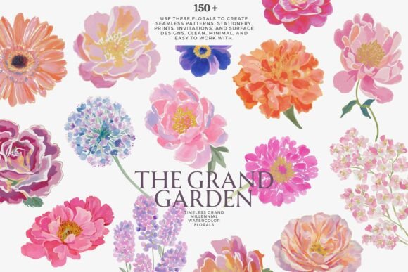Download Watercolor Floral Clipart Bundle - Color Collection