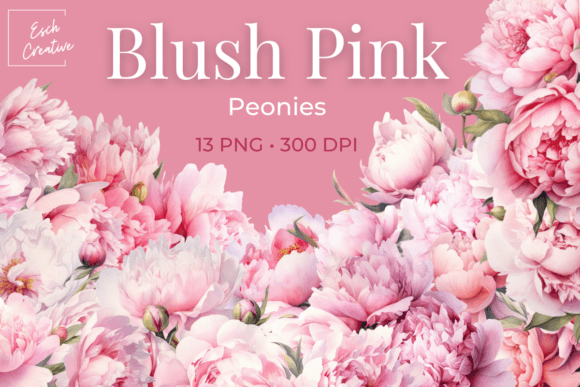 Download Blush Pink Peonies Watercolor Flowers - Color Collection