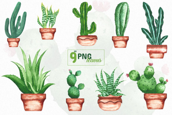 Download Watercolor Tropical Leaves - Color Collection