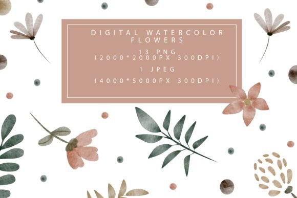 Download Collection of Watercolor Floral Elements - Color Collection