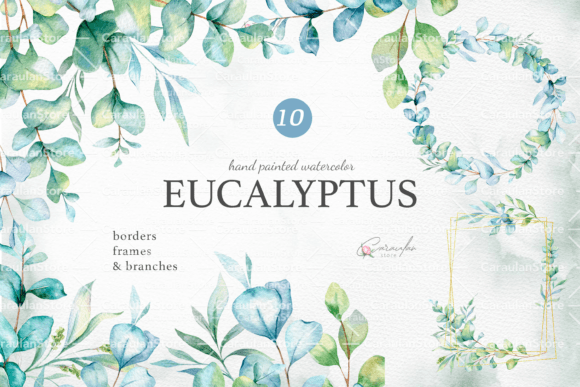 Download Eucalyptus Watercolor Clipart - Color Collection