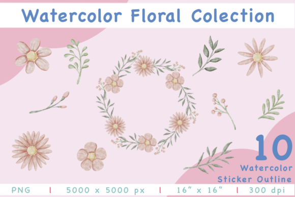 Download Watercolor Floral Elements Collection - Color Collection