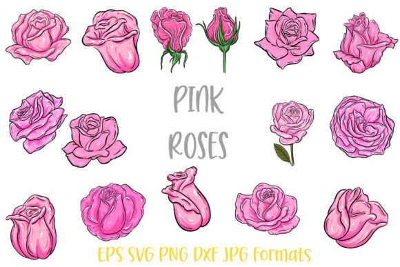Download Pink Rose Flower Line Art Illustrations - Illustration Collection