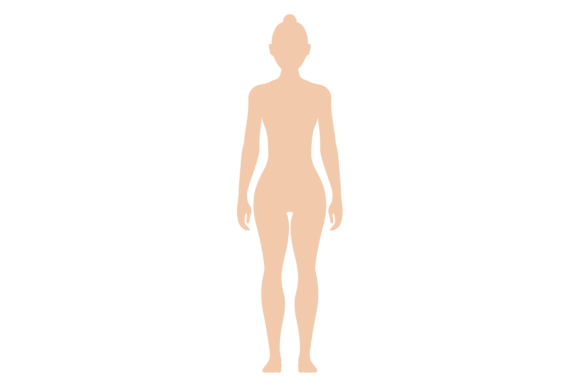 Download Female Figure. Color Human Silhouette. W - Color Collection
