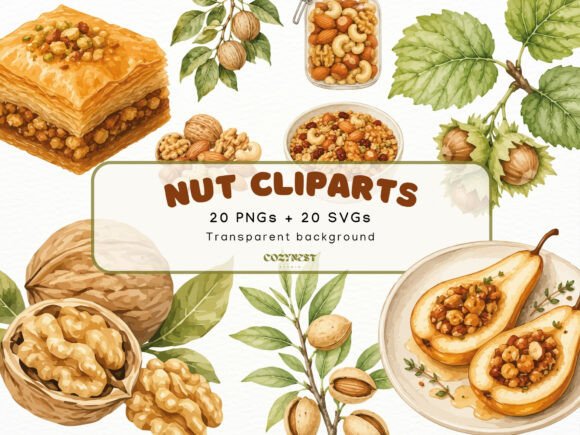 Download Nut Watercolor Cliparts, Botanical PNG - Color Collection