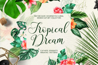 Download Tropical Dream-watercolor Set - Color Collection