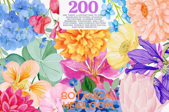 Download Watercolor Flower Clipart Bundle - Color Collection