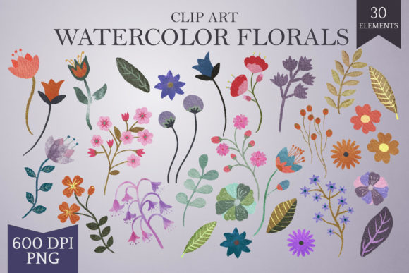 Download Hand-drawn Watercolor Floral Elements - Color Collection