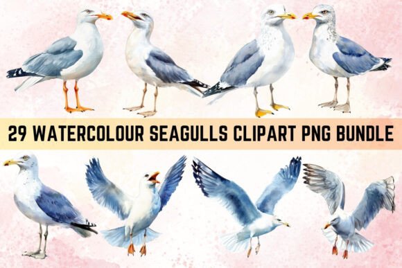 Download Watercolor Seagulls Clipart PNG Bundle - Color Collection
