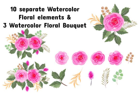 Download Watercolor Floral Elements - Color Collection