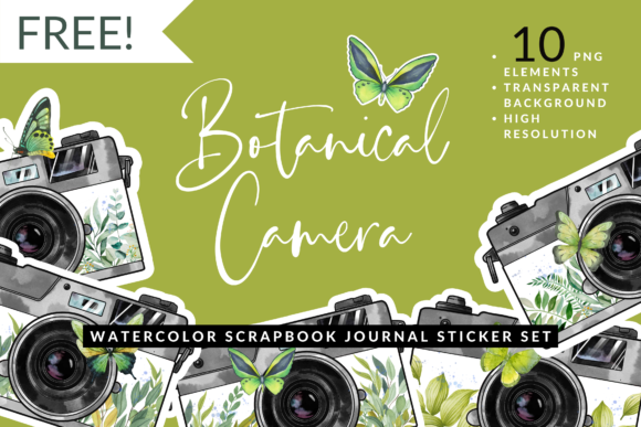 Download Watercolor Leaf Butterfly Camera Sticker - Color Collection