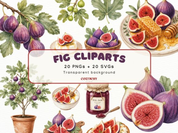 Download Fig Watercolor Cliparts, Botanical PNG - Color Collection