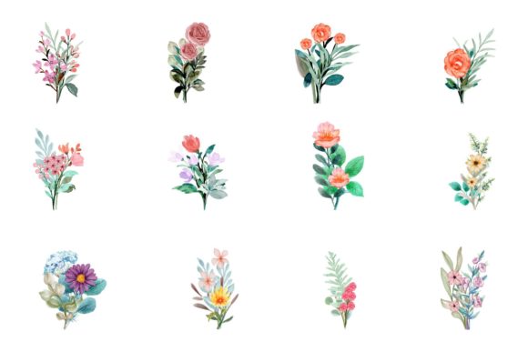 Download Watercolor Flower Elements - Premium Resources
