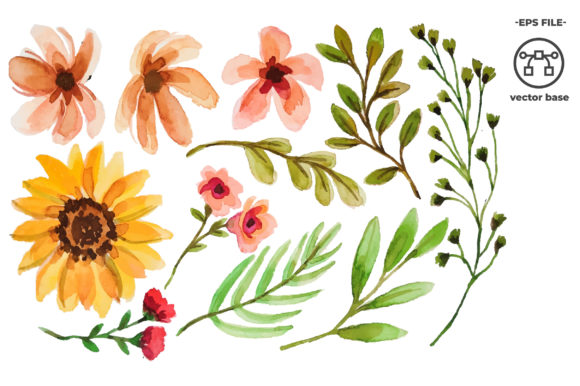 Download Watercolor Flower Elements - Premium Bundle