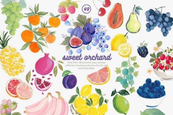 Download Fruit Watercolor Clipart Set - Color Collection