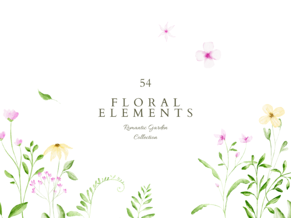 Download Watercolor Floral Elements Clipart - Color Collection